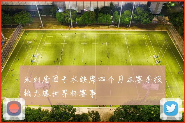 米利唐因手术缺席四个月本赛季报销无缘世界杯赛事